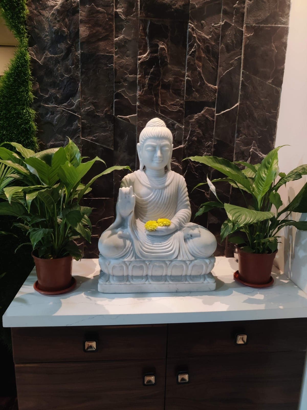Indoor plant setup