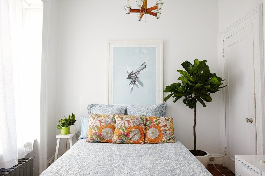 Bedroom plants