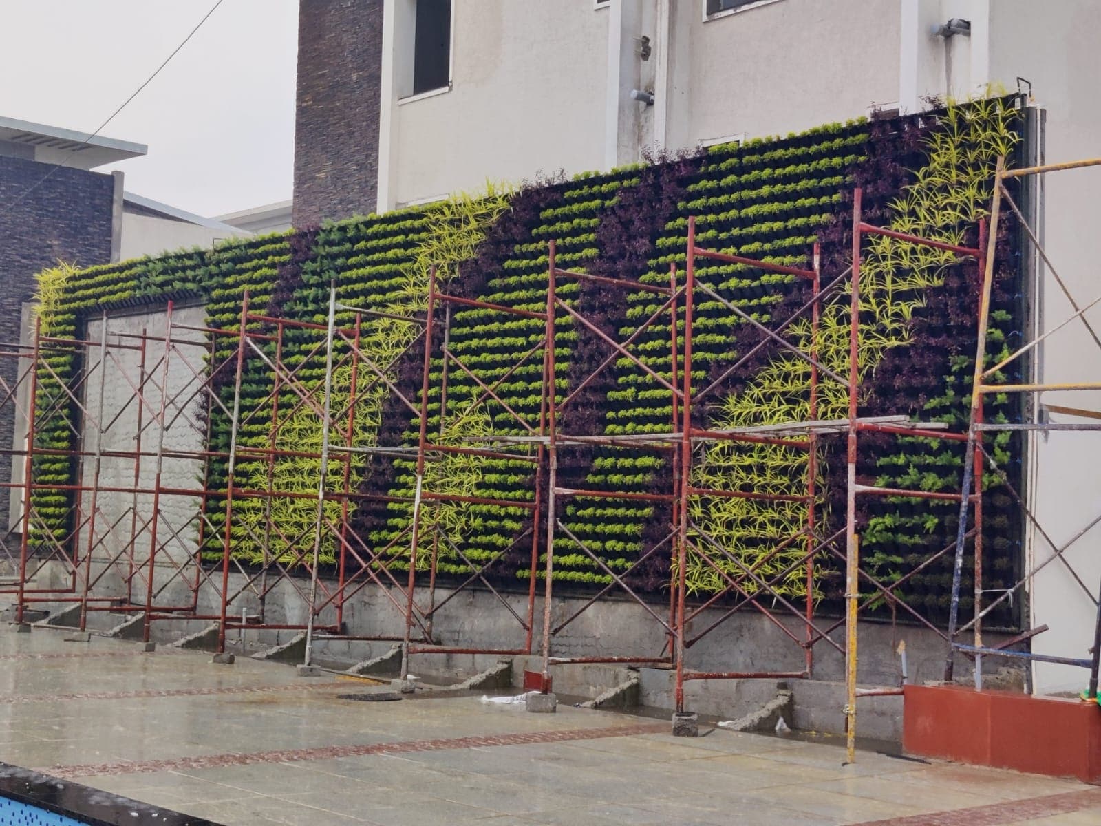 Vertical garden